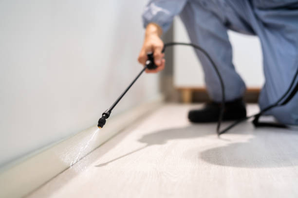 Professional exterminator conducting IPM assessment in Homerville