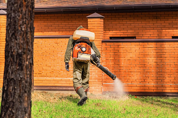Top rated local Wasp Removal specialists in Homerville, GA